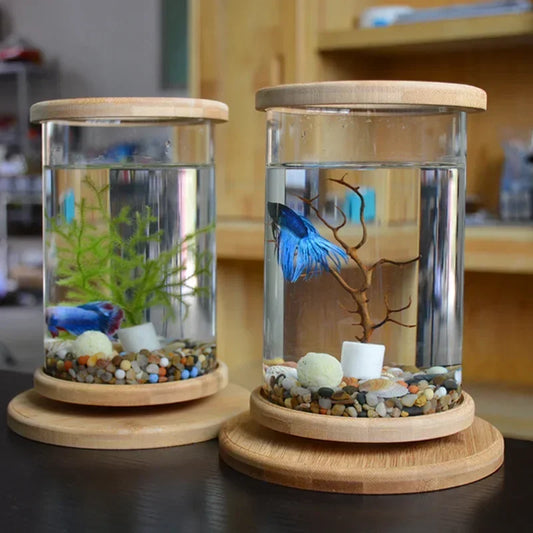 Mini Rotating Glass Desktop Aquarium